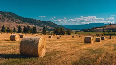 Unlocking the Power of Hay Cutters: Essential Tips for Efficient Farming Practices